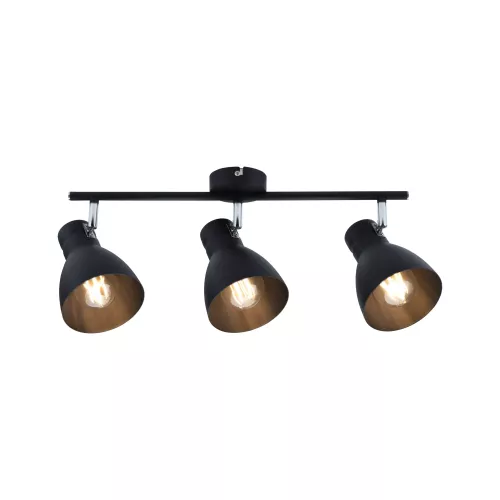 Spotlight Davy E27 230V max. 3x20W gradable PAULMANN 10 - Cimaise Tableau 
