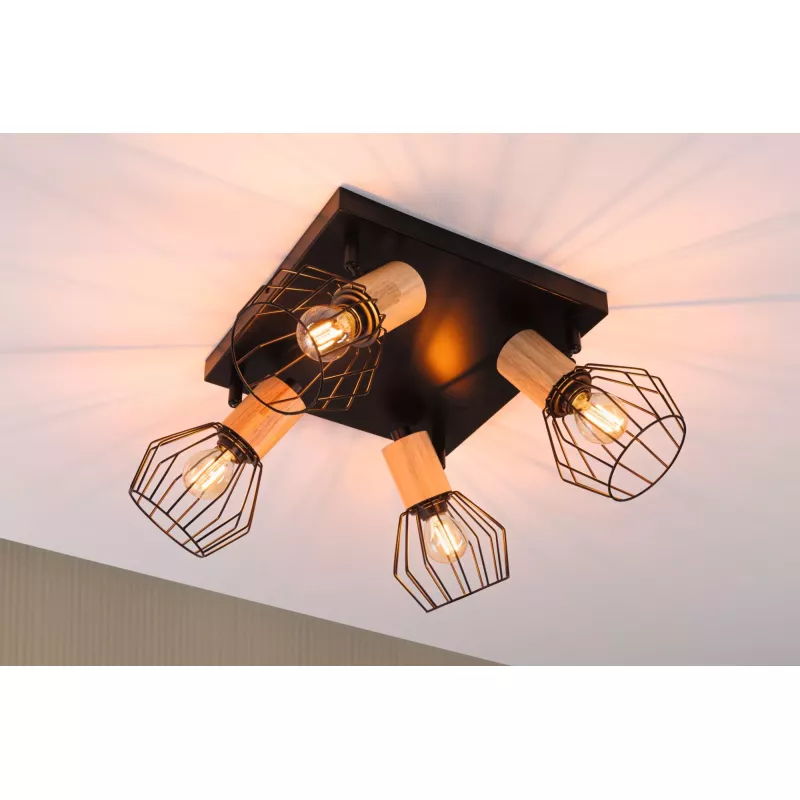 Spotlight Lanka E14 230V max. 4x20W gradable PAULMANN 10 - Cimaise Tableau 