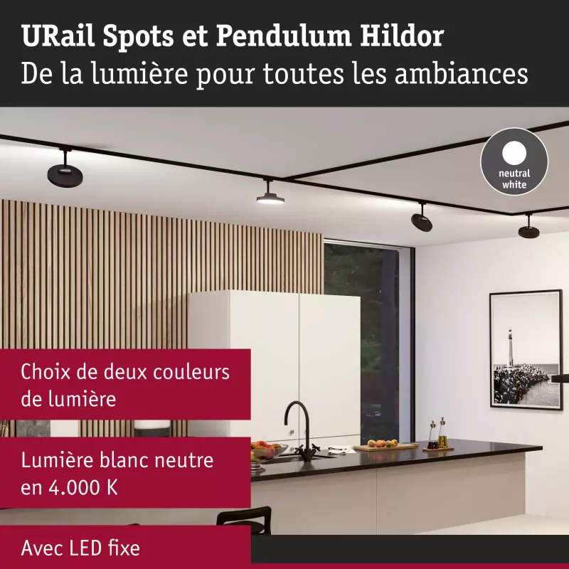 URail Spot sur rail 3-Step-Dim Hildor 850lm 15W 4000K gradable 230V PAULMANN 41 - Cimaise Tableau 