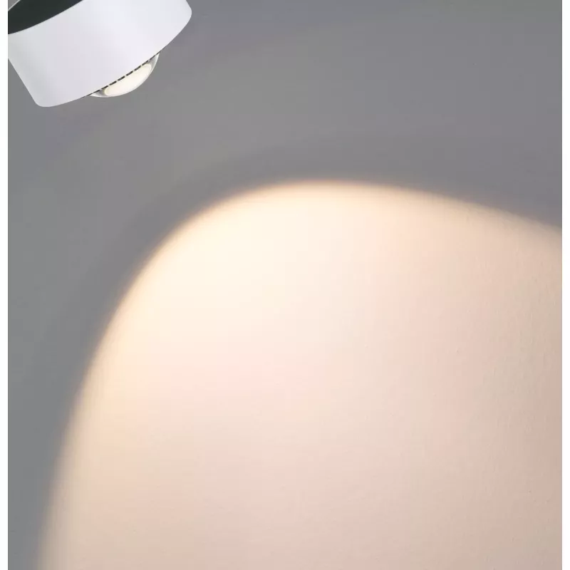 URail Spot sur rail Aldan Spot individuel 500lm 8W White Switch 230V Blanc signal