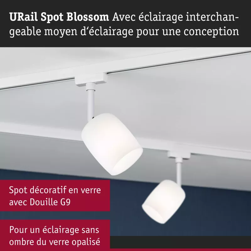 URail Spot sur rail Blossom G9 max. 10W gradable 230V Blanc signal PAULMANN 13 - Cimaise Tableau 