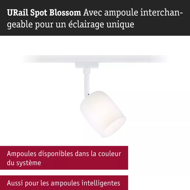 URail Track spotlight Blossom G9 max. 10W dimmable 230V Signal white PAULMANN 14 - Cimaise Tableau 
