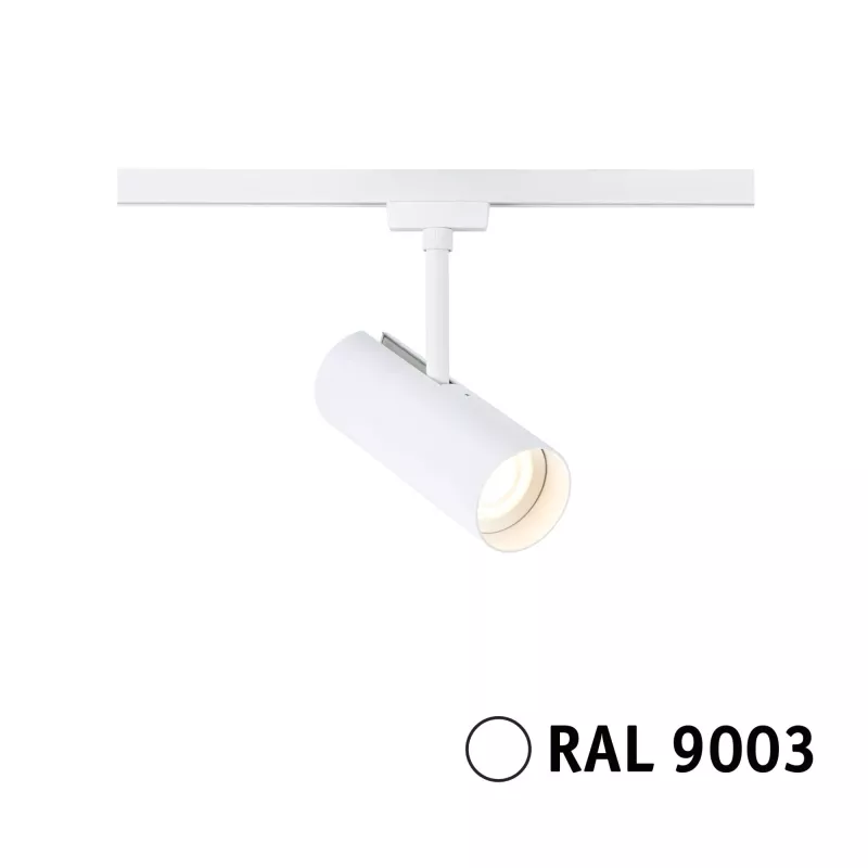 URail Track spotlight Theron Individual spotlight 1020lm 11W 3000K dimmable 230V Signal white PAULMANN 16 - Cimaise Tableau 