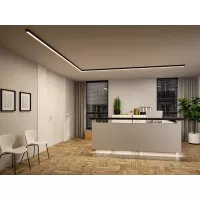 Linion Power Channel Zigbee Netzteil 230/24V 17W Schwarz 1m Signal - système d'accrochage et décoration - détail 20