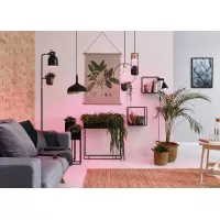 Pinza de contacto Vitis, interruptor de cable con brazo flexible, color negro, 230 V, casquillo E14 - système d'accrochage et décoration - détail 4