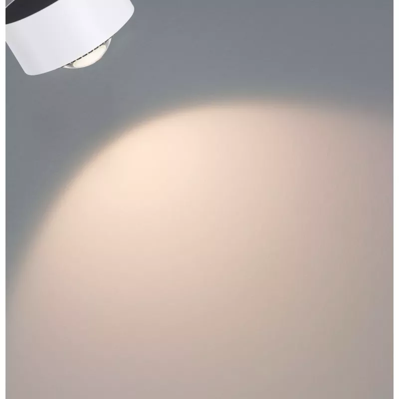 URail Spot sur rail Aldan Spot individuel 470lm 8W 3000K gradable 230V Blanc signal