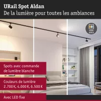 URail Spot sur rail Aldan Spot individuel 500lm 8W White Switch 230V - système d'accrochage et décoration - détail 33