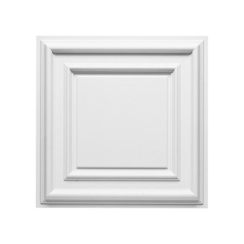 F30 ORAC Durofoam Platte L59,5 x H4,3 x B59,5 cm ORAC DECOR 1 - Cimaise Tableau