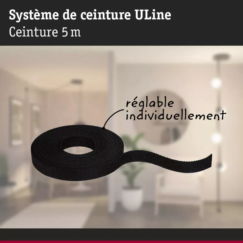 ULine 5m Dacron Textile Webbing PAULMANN 25 - Cimaise Tableau 