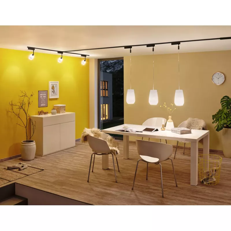 URail Adaptateur de rail Smart Home Zigbee 3.0 On/Off/Dimm 166x50mm PAULMANN 23 - Cimaise Tableau 