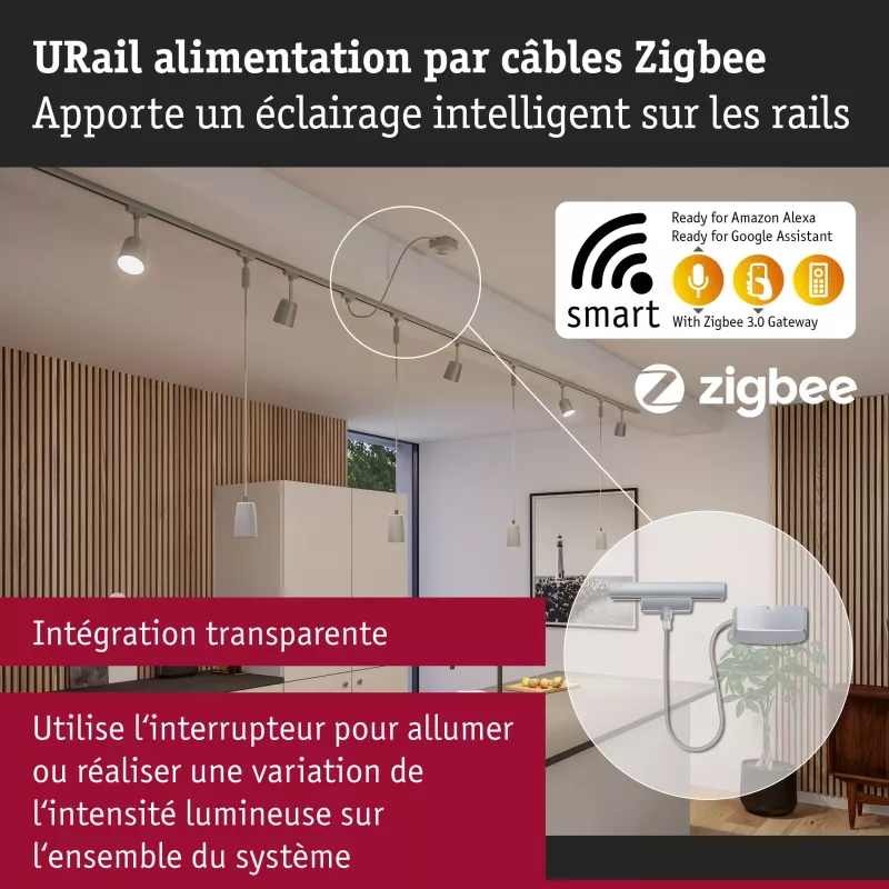URail Alimentation électrique Zigbee 3.0 Câble 1m max. PAULMANN 29 - Cimaise Tableau 