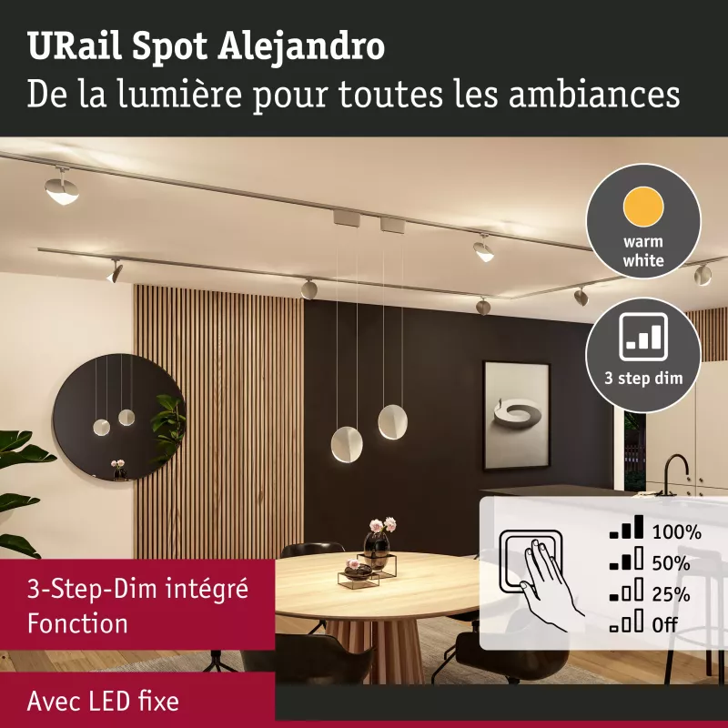 Foco para riel URail, atenuación en 3 pasos, Alejandro, 800 lm, 10 W, 3000 K, regulable, 230 V PAULMANN 39 - Cimaise Tableau 