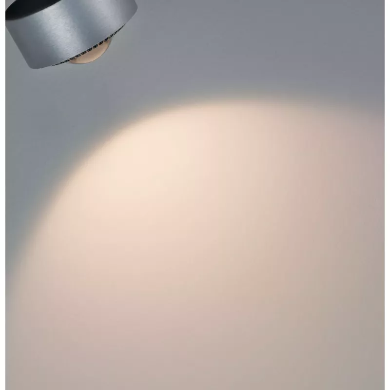 URail Track spotlight Aldan Individual spotlight 500lm 8W White Switch 230V PAULMANN 49 - Cimaise Tableau 