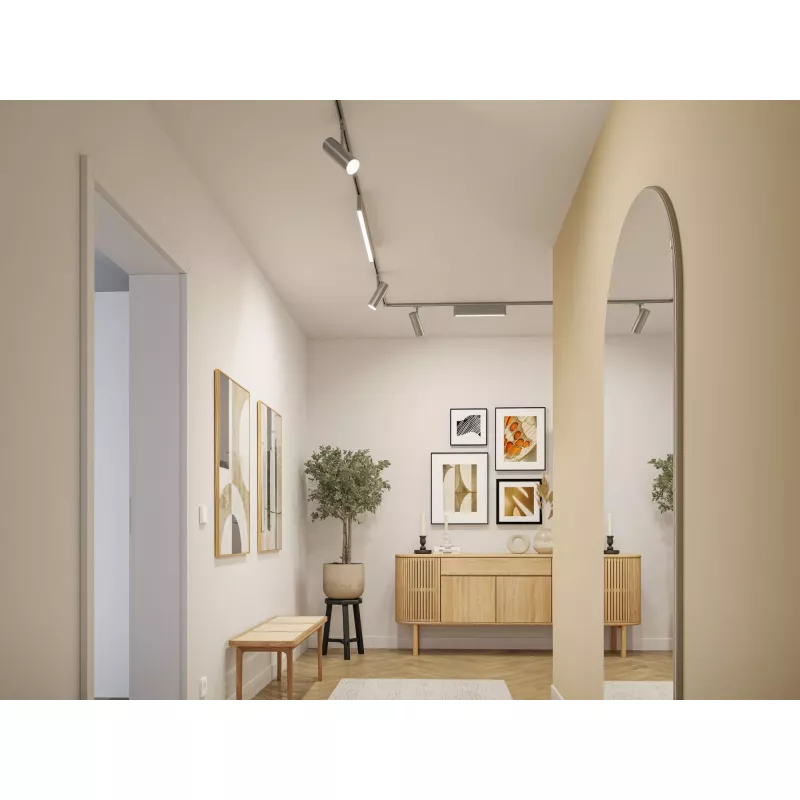 URail Track spotlight Theron Individual spotlight 1020lm 11W 3000K dimmable 230V PAULMANN 41 - Cimaise Tableau 