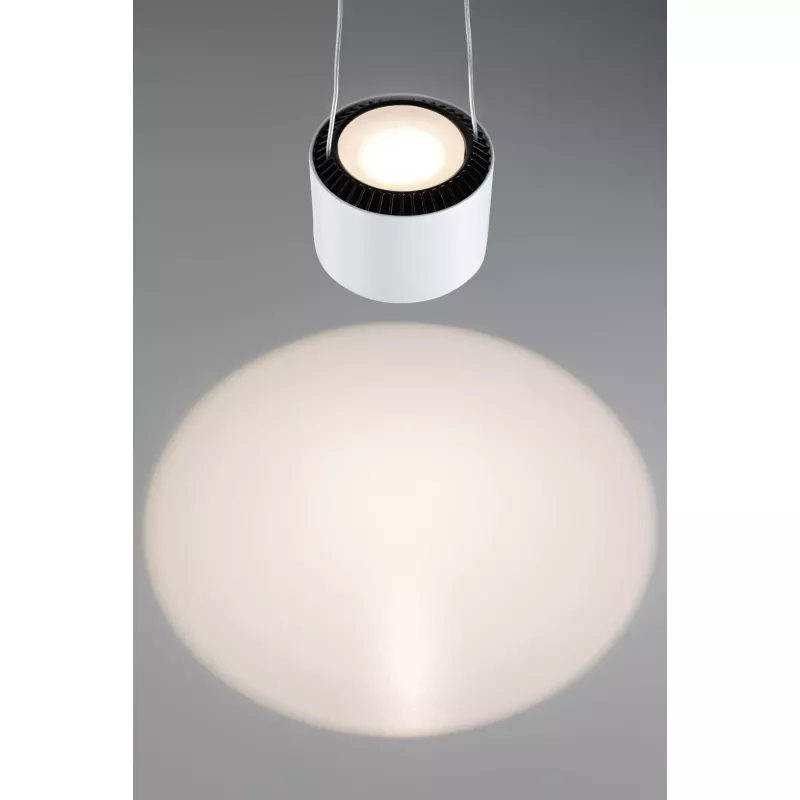 URail Pendant Lamp Aldan 820lm / 0lm 8.5W / 4.5W 2700K dimmable 230V PAULMANN 34 - Cimaise Tableau 