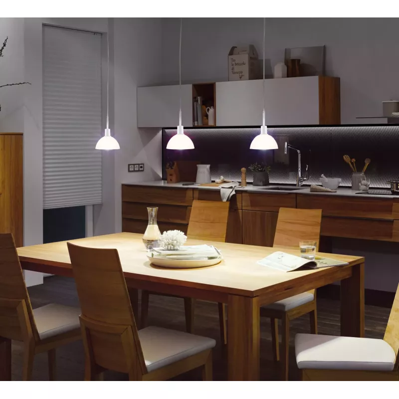 URail Pendelleuchte Sarrasani E14 max. 20W dimmbar 230V PAULMANN 42 - Cimaise Tableau 
