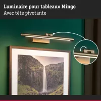 Mingo LED Bilderleuchte 3000K 510lm 230V - système d'accrochage et décoration - détail 3