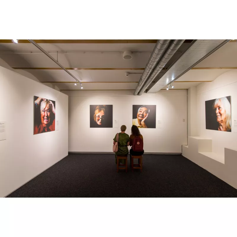 Cimaise click rail pro 50 kg + Clips - hanging picture rail artiteq ARTI TEQ 16 - Cimaise Tableau 