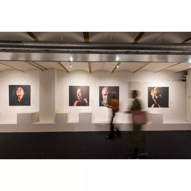 Cimaise click rail pro 50 kg + Clips - accrochage cimaise tableau artiteq ARTI TEQ 17 - Cimaise Tableau