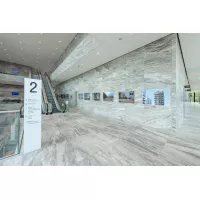 Cimaise click rail pro 50 kg + Clips - hanging picture rail artiteq ARTI TEQ 2 - Cimaise Tableau 