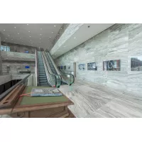 Cimasa click rail pro 50 kg + Clips - sospensione cornice artiteq ARTI TEQ 25 - Cimaise Tableau 