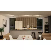 URail power connector central or end Paulmann PAULMANN 9 - Cimaise Tableau 