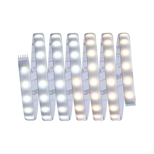 MaxLED 500 Strip LED - Extension - -  Tunable white  -  Revêtue