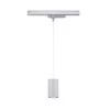 ProRail3 - Kratos pendant light 1000lm 9W 3000K 230V - Paulmann PAULMANN 1 - Cimaise Tableau 