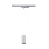 ProRail3 - Suspension Kratos 1000lm 9W 3000K 230V - Paulmann PAULMANN 2 - Cimaise Tableau 