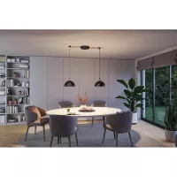 ULine - Paulmann 300mm 12W Black LED Bowl Pendant Light - système d'accrochage et décoration - détail 10