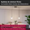 ULine - Accesorios Kit de soporte para correa derecha (2 unidades) Negro - Paulmann PAULMANN 4 - Cimaise Tableau 