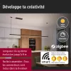 Linion - Alimentation électrique Power Box - Paulmann PAULMANN 5 - Cimaise Tableau 