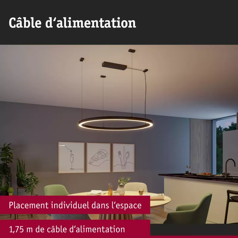 Linion - cable de alimentación - Paulmann