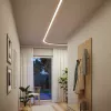 Linion - Canal de Luz - Paulmann PAULMANN 71 - Cimaise Tableau 