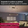 Linion - Accessoires Suspension par câble - Paulmann PAULMANN 5 - Cimaise Tableau 