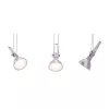 CorDuo Kabelsystem Comet Spot Einzeln GU5.3 max. 50W Dimmbar 12V - Paulmann PAULMANN 6 - Cimaise Tableau 