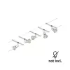 CorDuo Cable System Salt - Paulmann PAULMANN 3 - Cimaise Tableau 