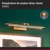 Lámpara LED para cuadros Mingo 3000K - Paulmann PAULMANN 4 - Cimaise Tableau 