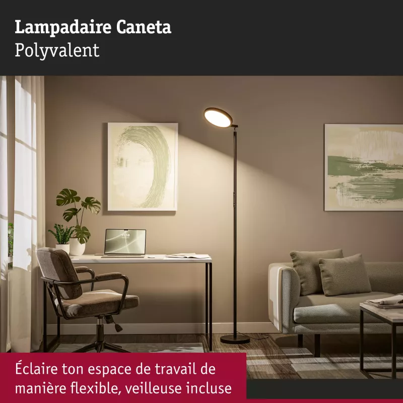 Caneta Tunable White LED Floor Lamp 1750mm 1300lm 20W Black - Paulmann