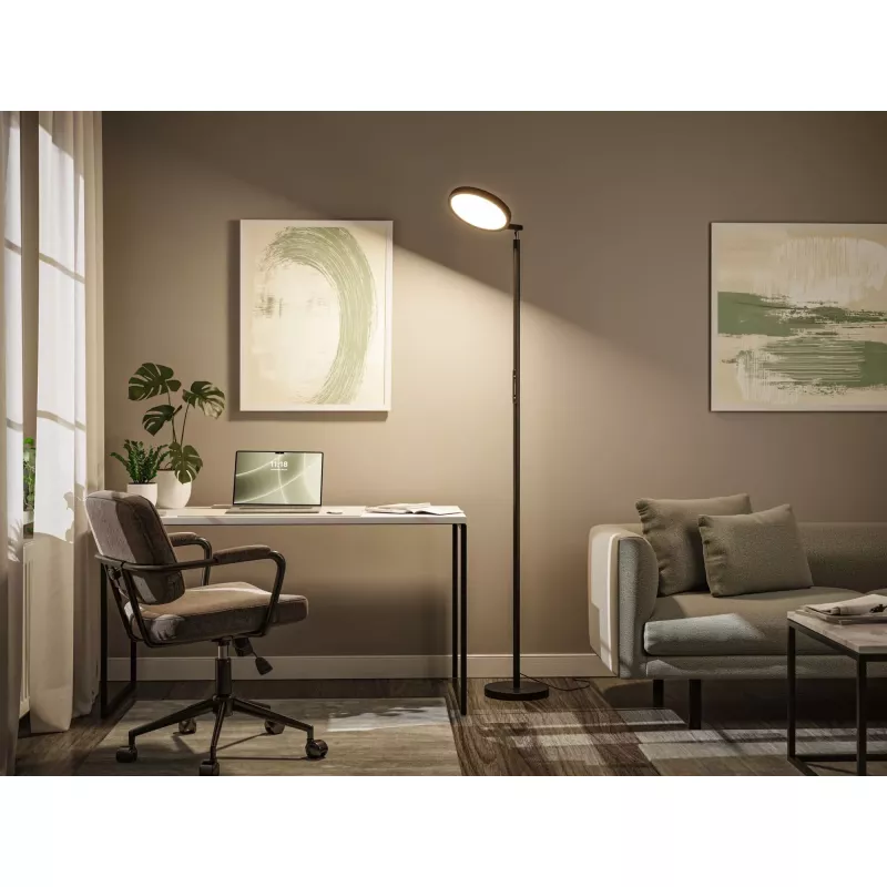 Lampadaire LED Caneta Tunable White 1750mm 1300lm 20W Noir - Paulmann