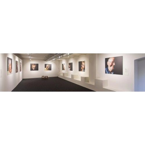 Artiteq click rail pro picture rail