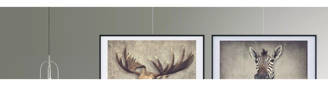 cornice classica + BINARIO 100 KG