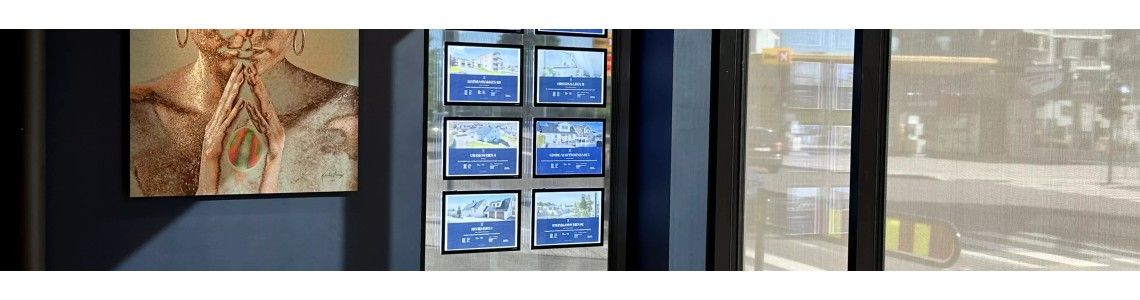 Display case picture rail system