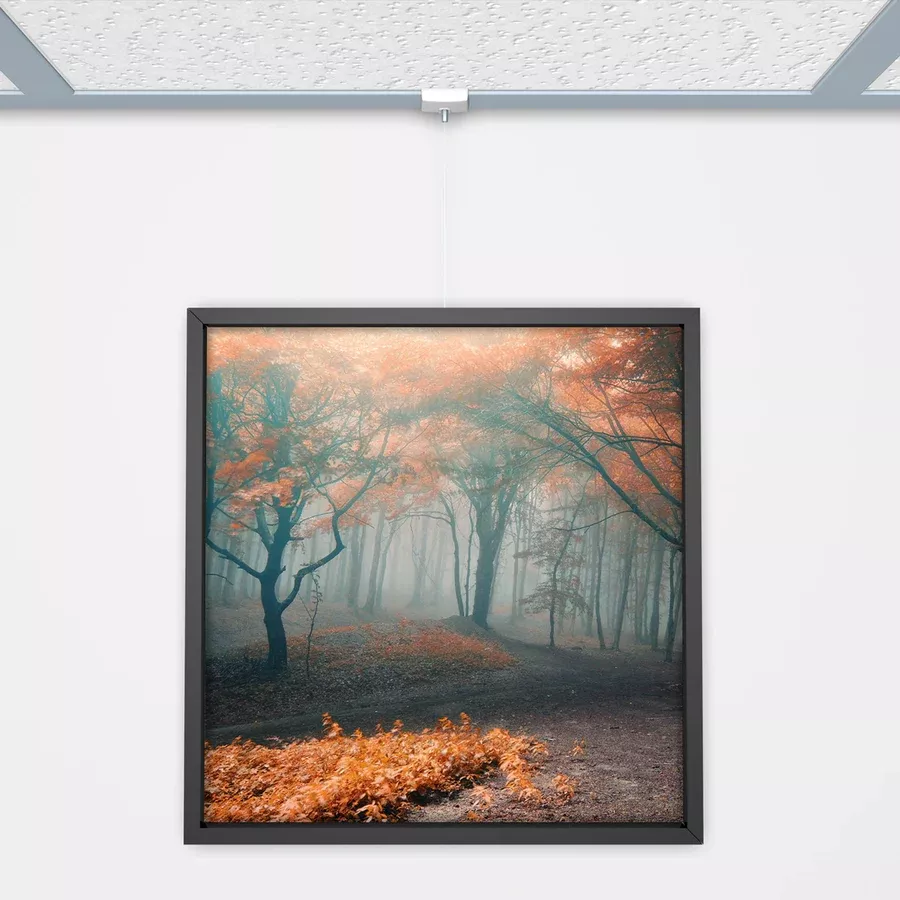 Clip de suspension faux plafond